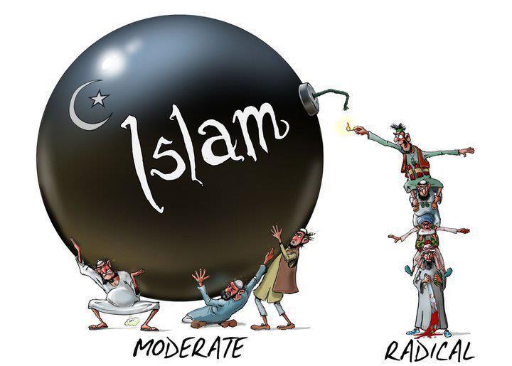 Verdeling islam in radicaal en gematigd